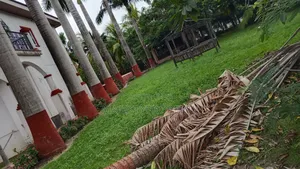 10bdrm Bungalow in Trassaco, Adjiriganor for sale