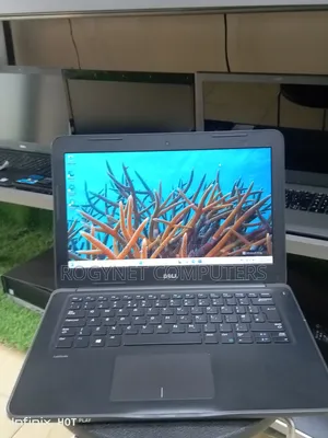 Laptop Dell Latitude 13 3380 8GB Intel Core i3 SSD 256GB