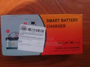 12v Battery Charger For Car, Motor Etc