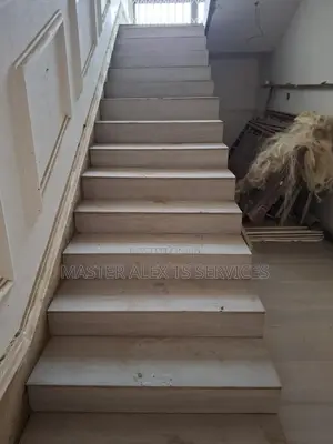 Professional Tilers (Ms)