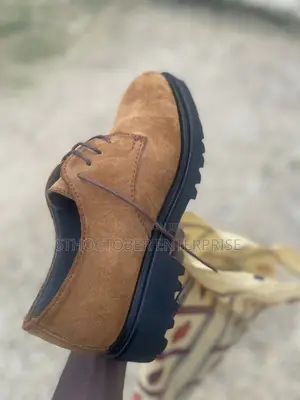 Suede Shoe