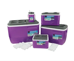 Sq Professional Cooler Box 5 in 1