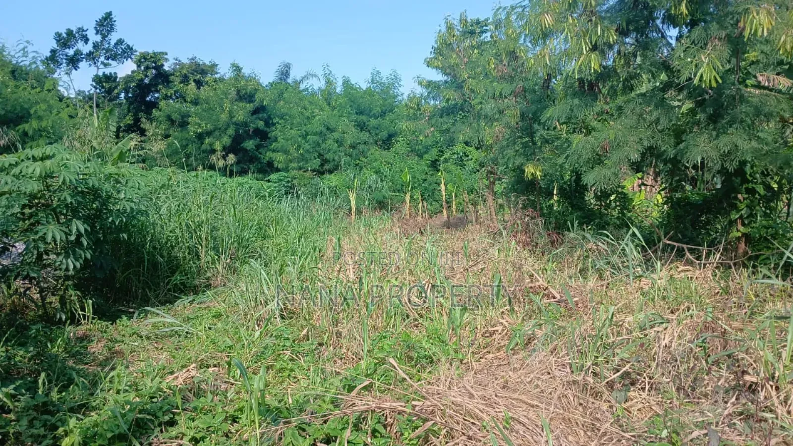Quarter Plot of Land for Sale Located at Oyibi Saasabi Junc