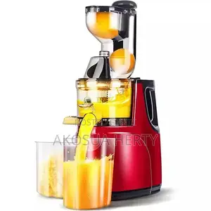 Slow Juicer