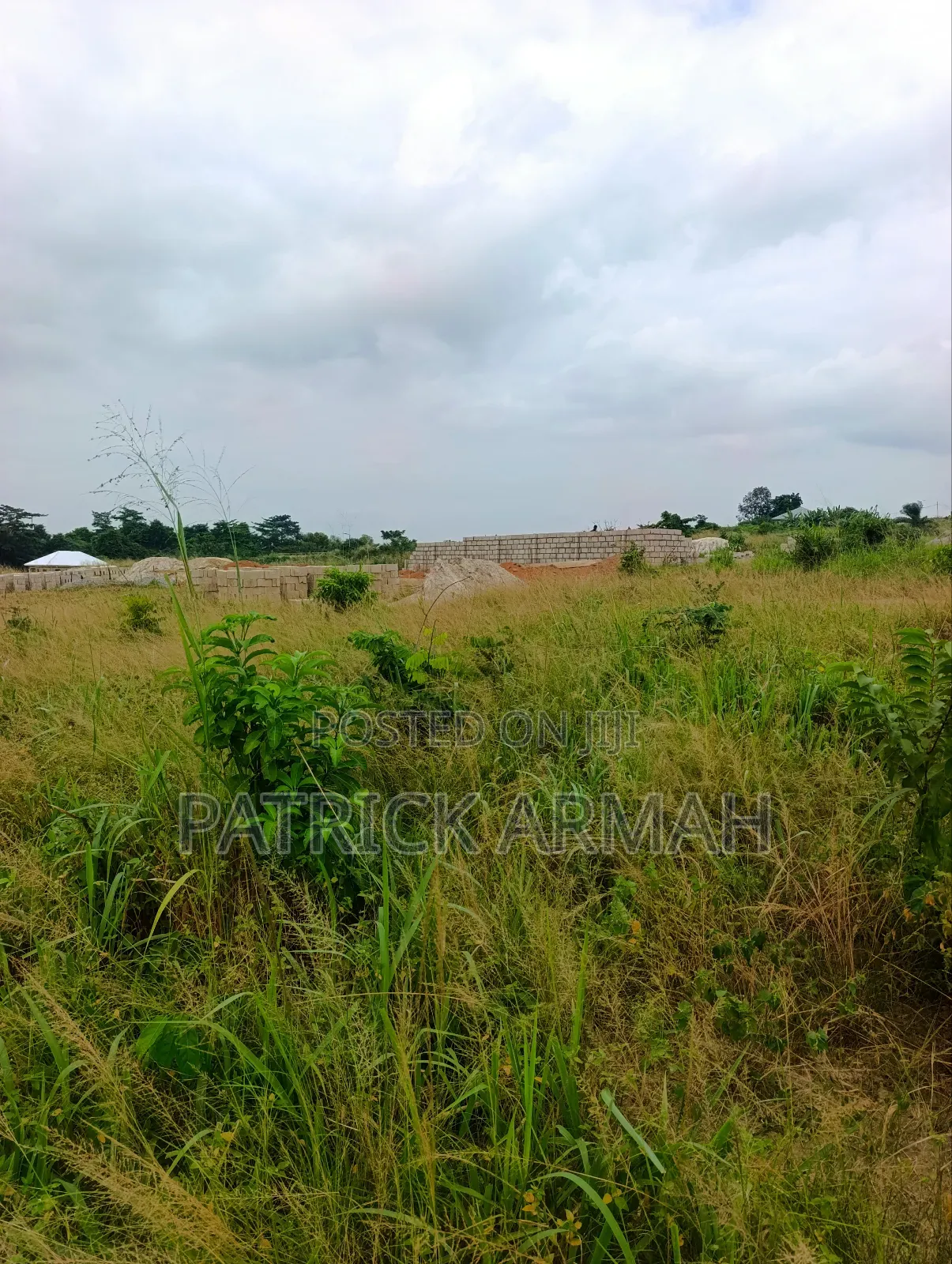 Full Plot at Ejisu Donaso