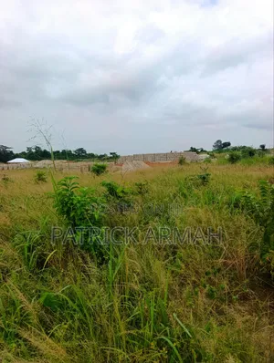 Full Plot at Ejisu Donaso