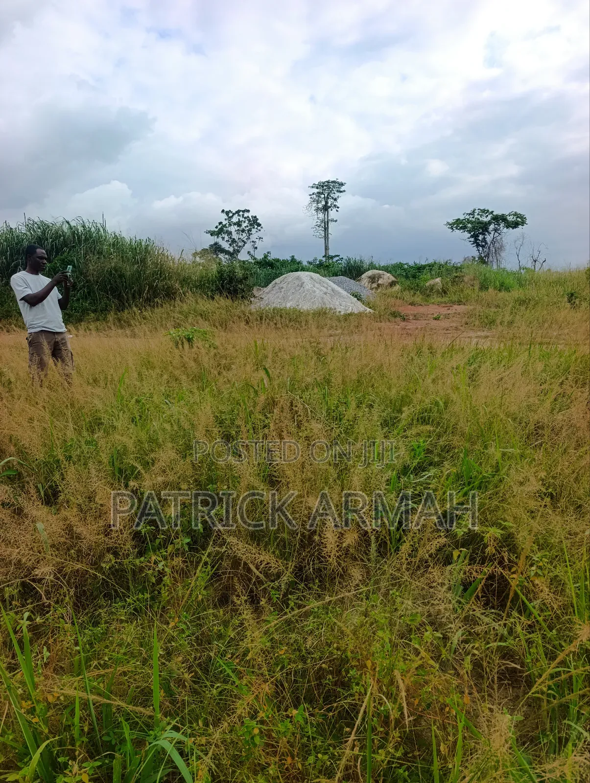 Full Plot at Ejisu Donaso