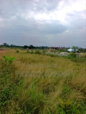 Full Plot at Ejisu Donaso