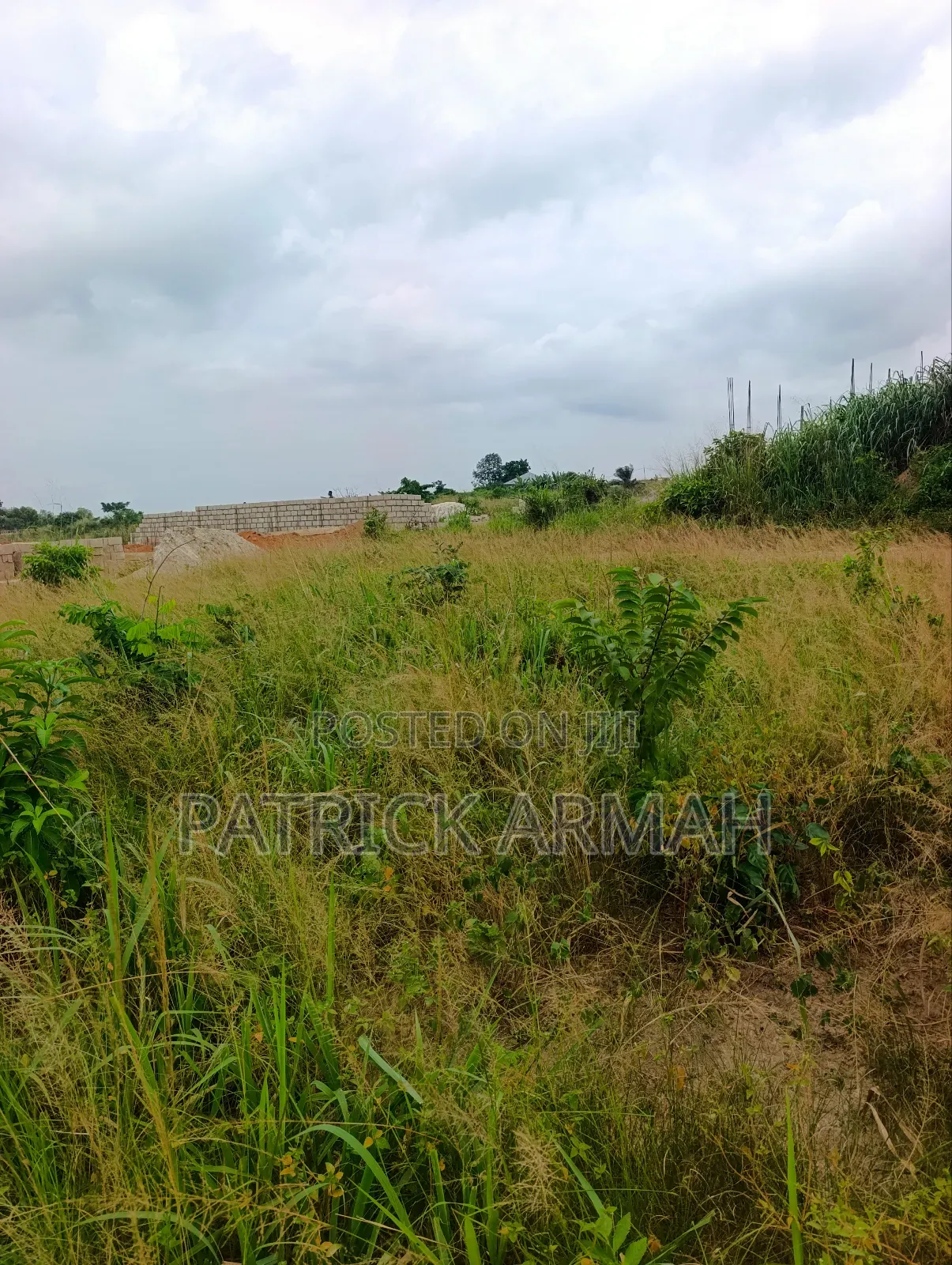 Full Plot at Ejisu Donaso