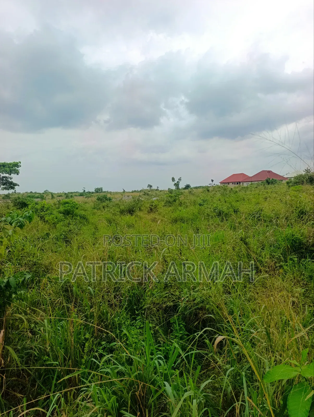 Full Plot at Ejisu Donaso