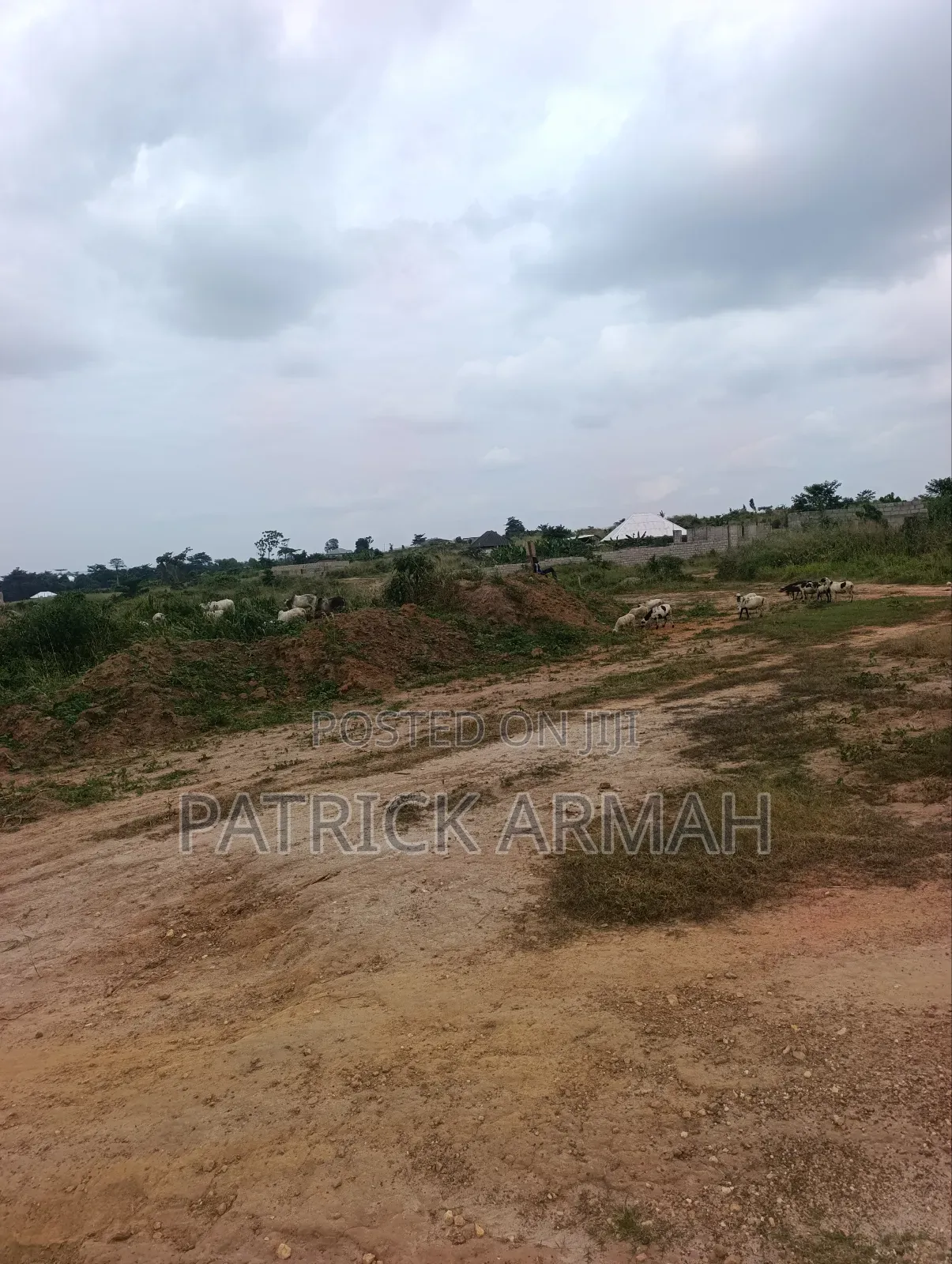 Full Plot at Ejisu Donaso