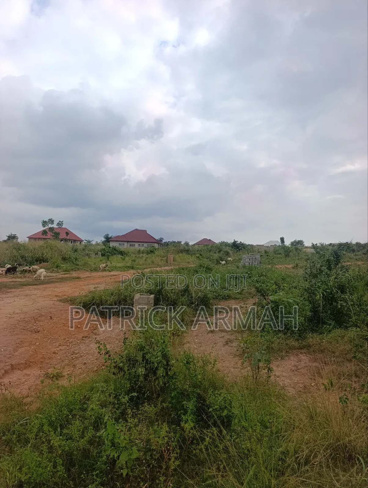 Full Plot at Ejisu Donaso