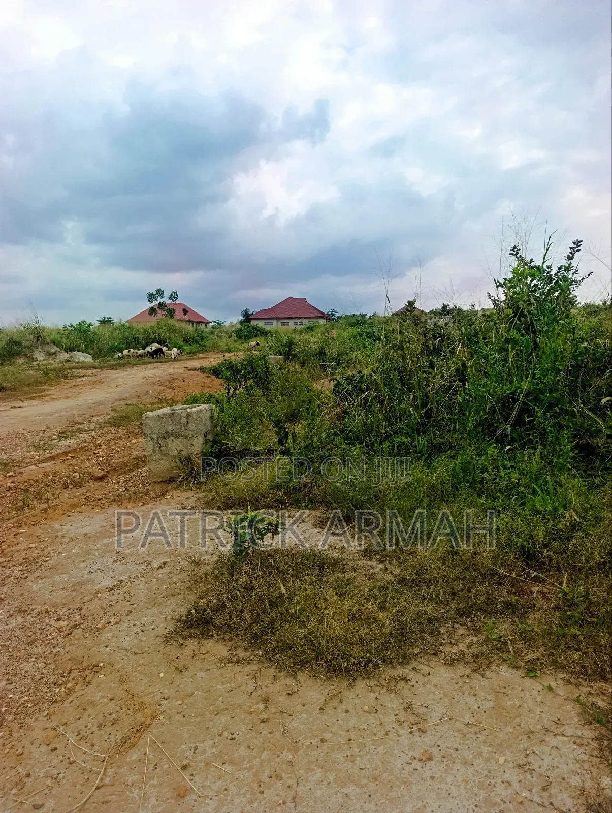 Full Plot at Ejisu Donaso