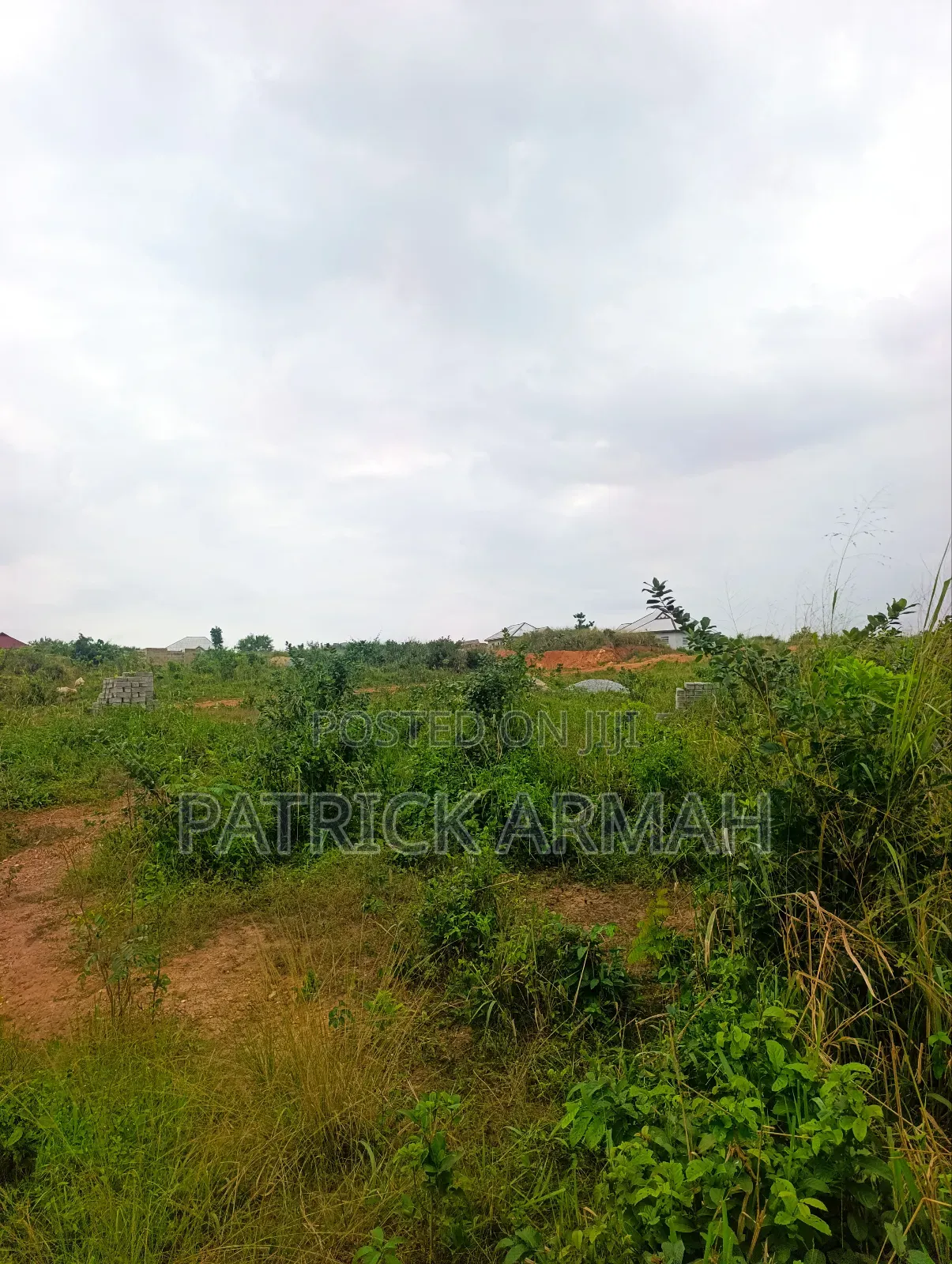 Full Plot at Ejisu Donaso