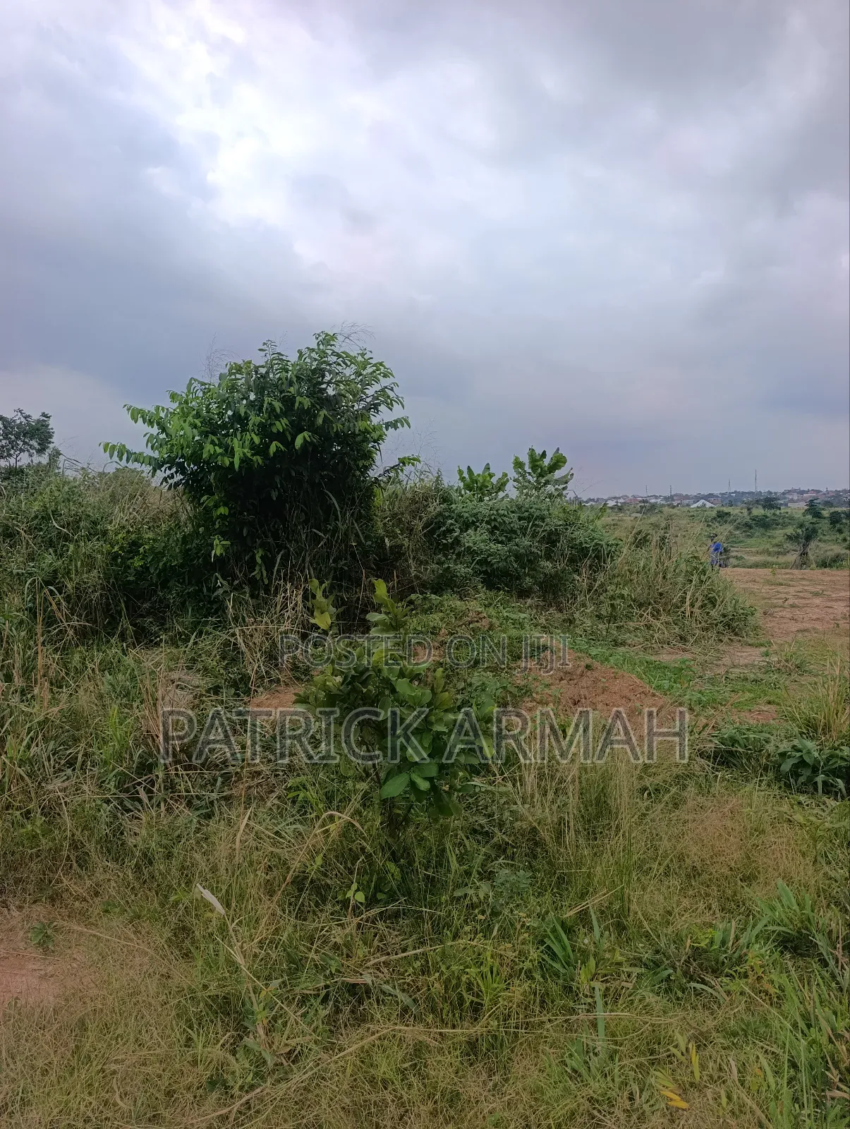 Full Plot at Ejisu Donaso