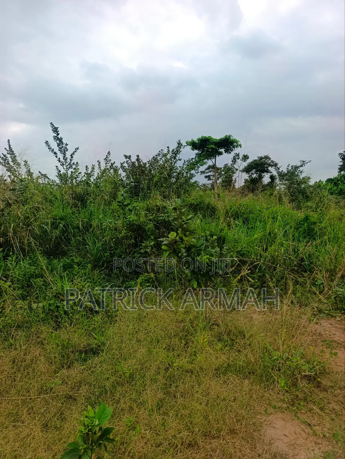 Full Plot at Ejisu Donaso