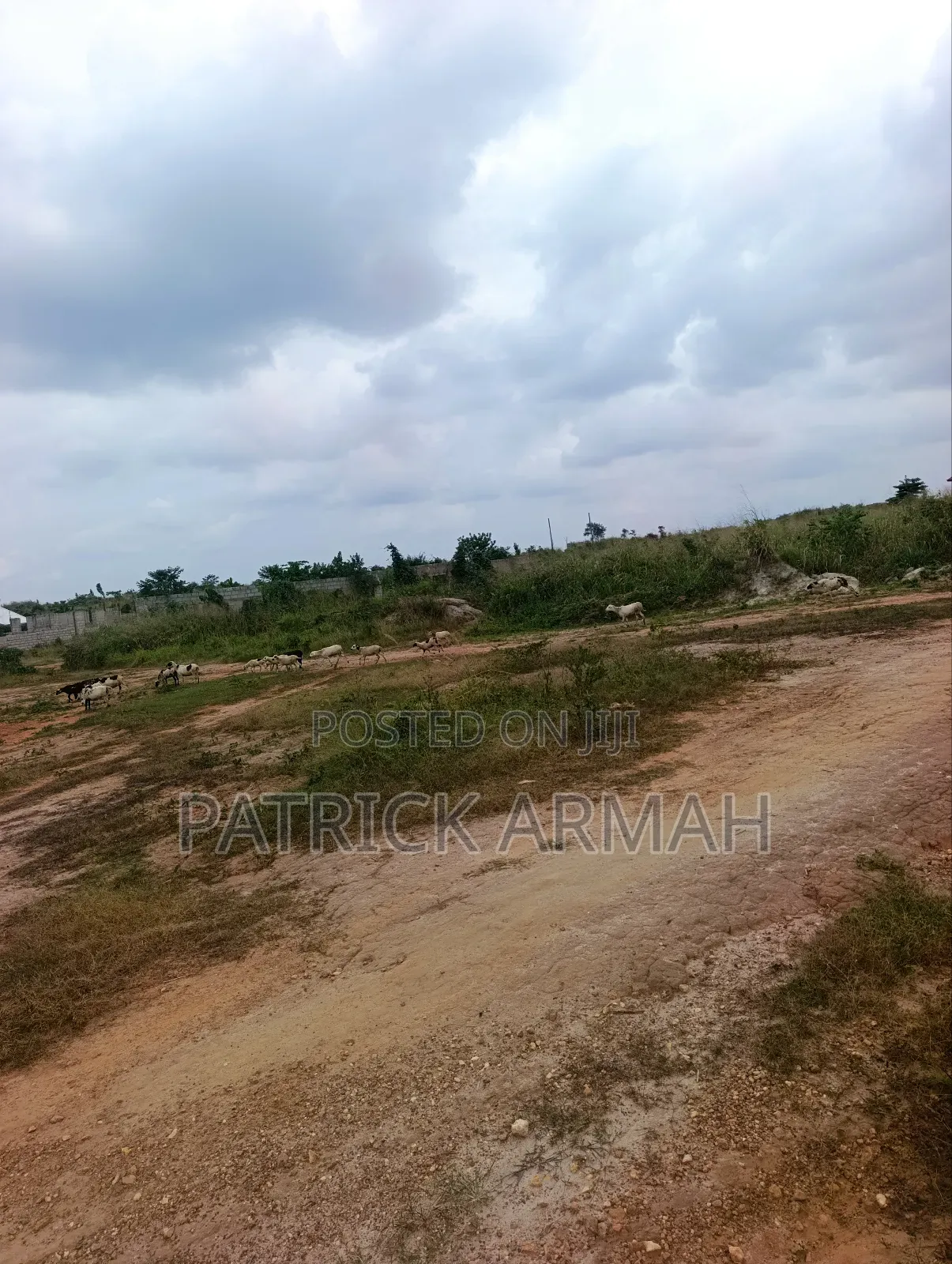 Full Plot at Ejisu Donaso