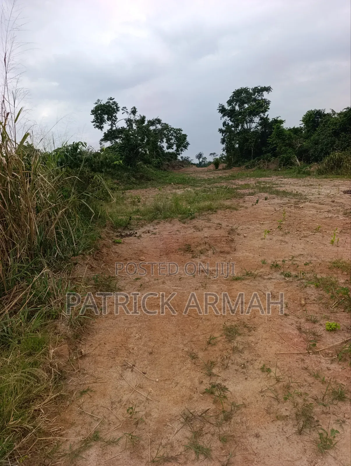 Full Plot at Ejisu Donaso