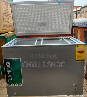Double Door Chest Freezer