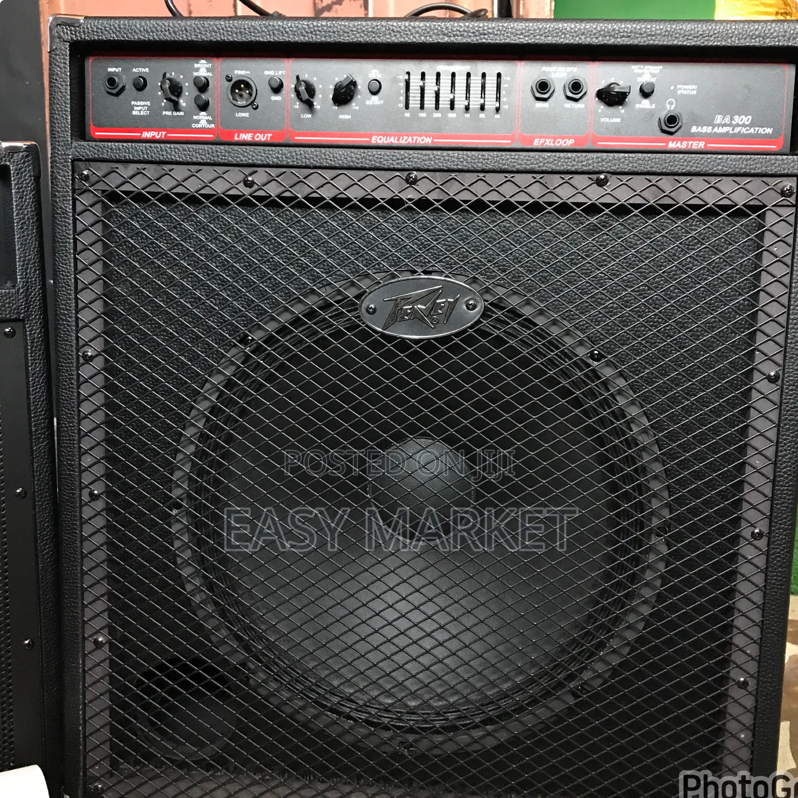 Peavey Bass Combo