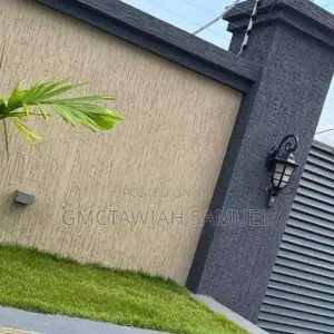 Professional Painter
