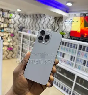 Apple iPhone 15 Pro Max 256 GB Silver