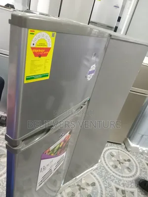 Super Cooling Fridge Roch 2 Door Top Freezer Fridge