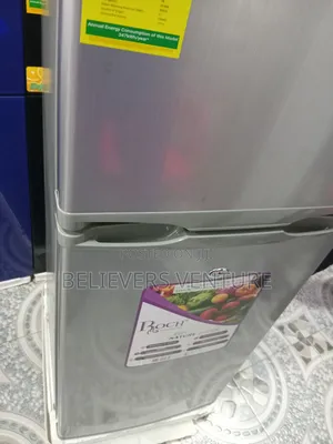 Roch Remarkable 117l Double Door Top Freezer Fridge