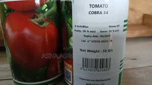 Cobra 34 Tomato Seeds 50grams