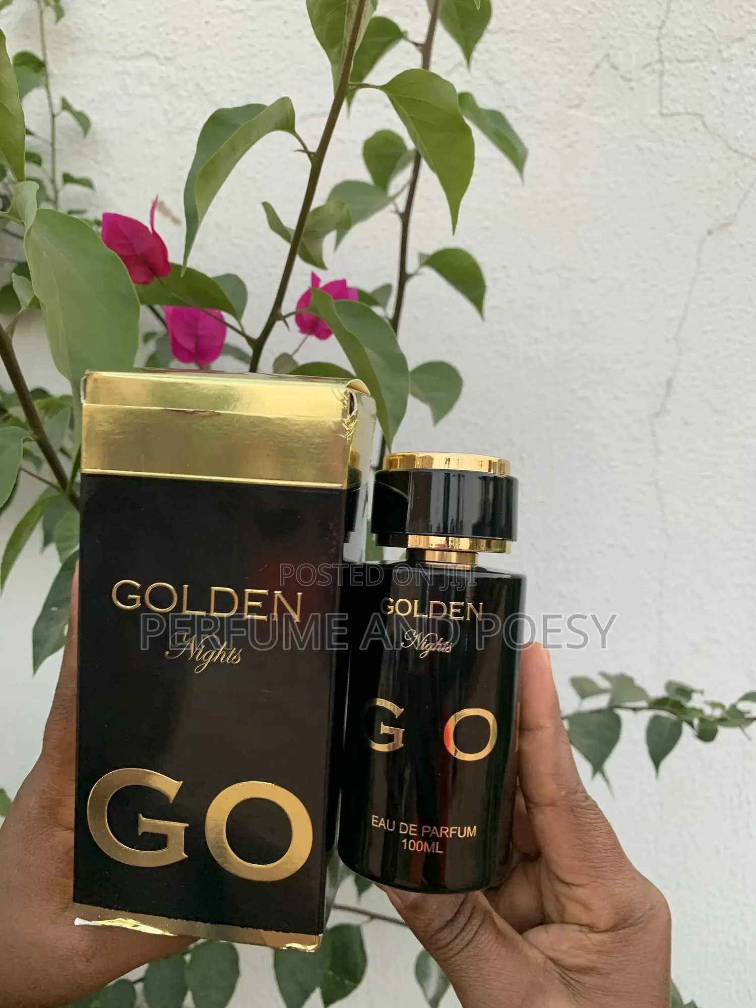 Golden Night