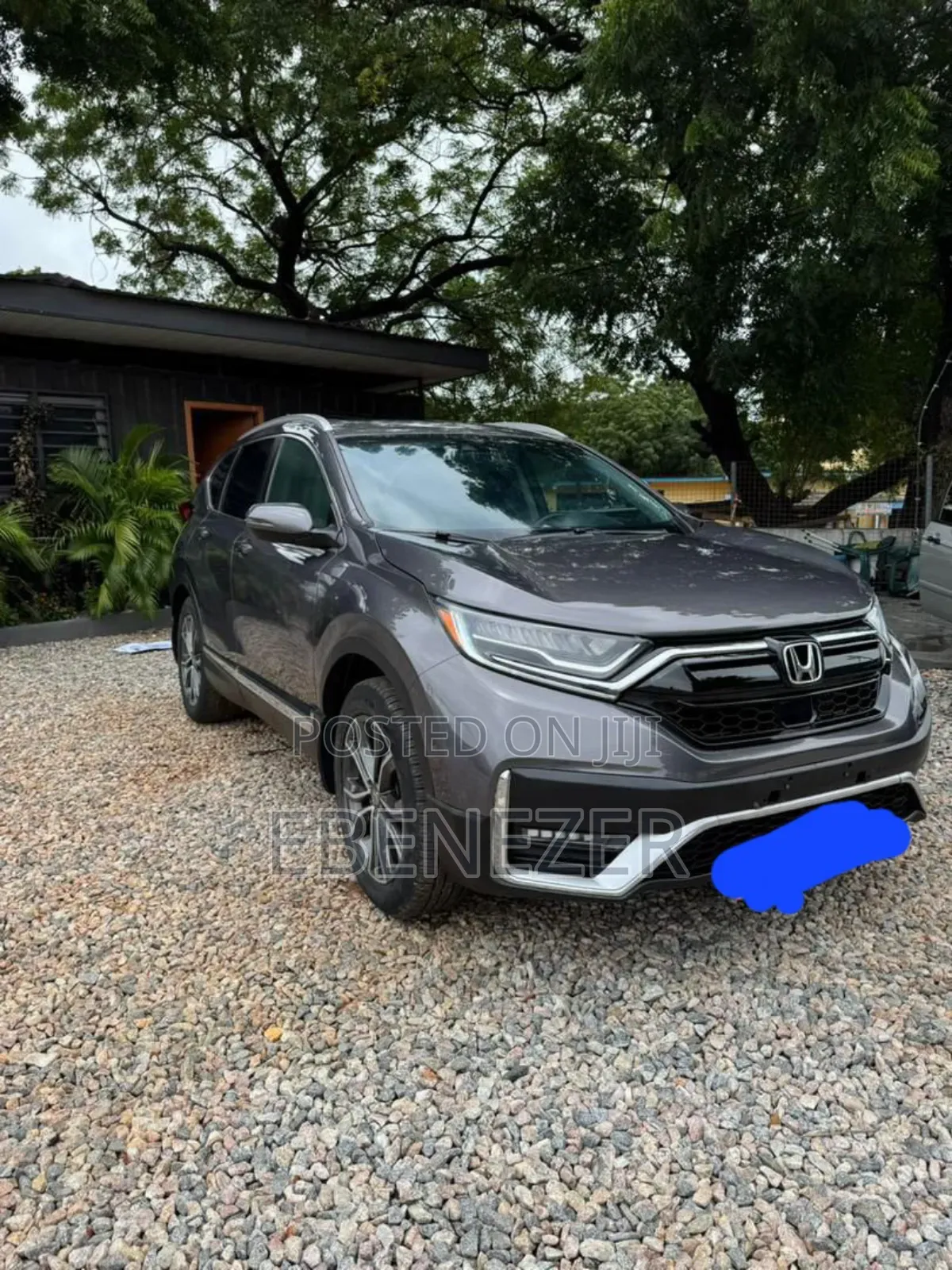 Car Rentals