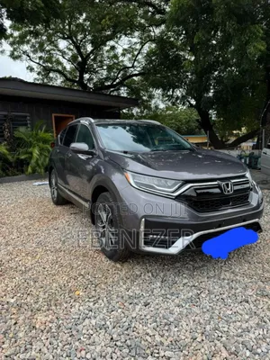 Car Rentals