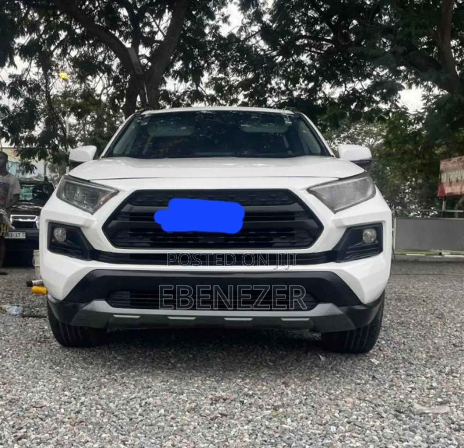 Car Rentals