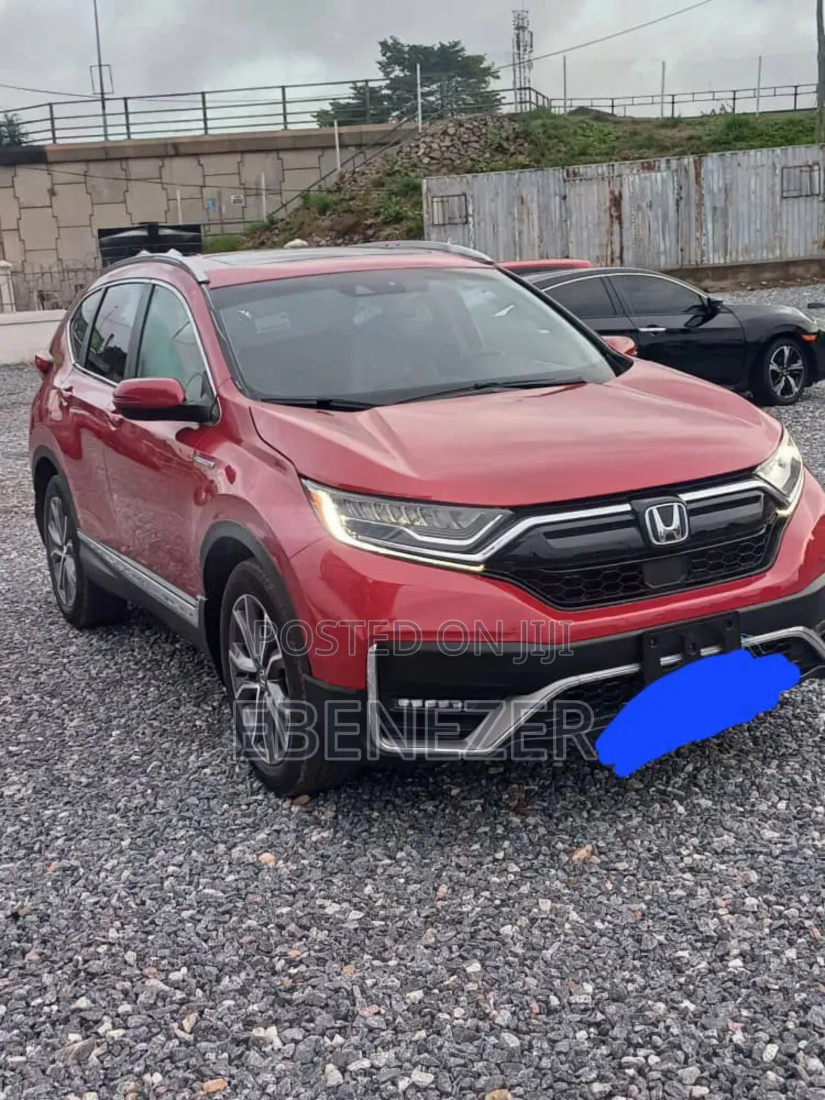 Car Rentals