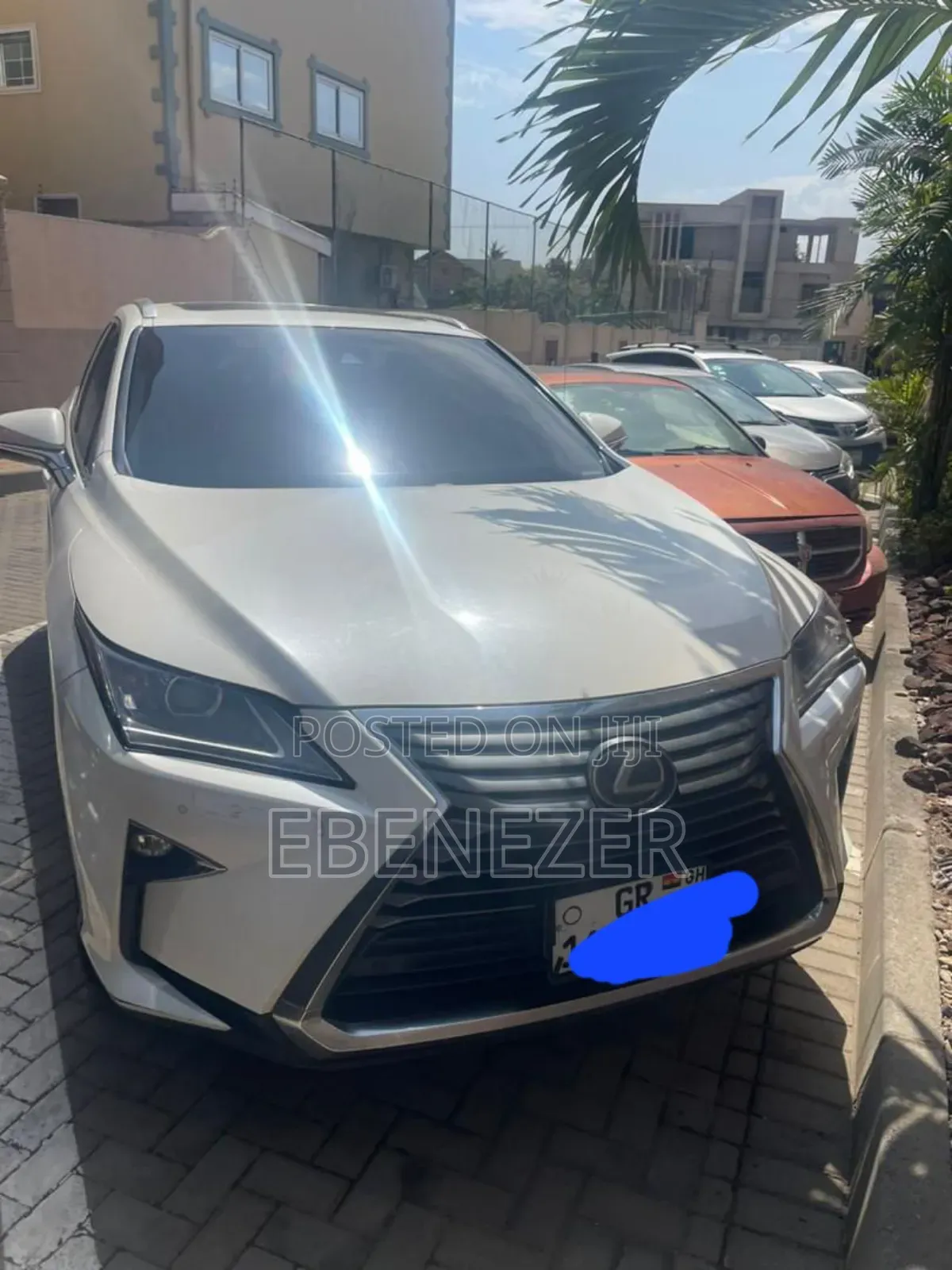 Car Rentals