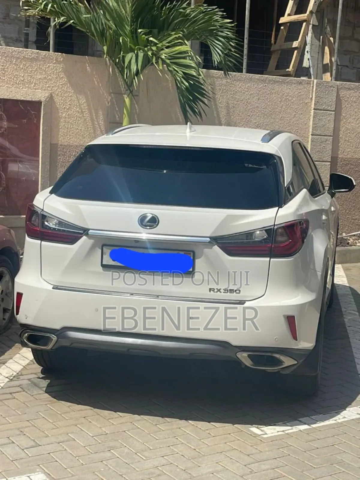 Car Rentals