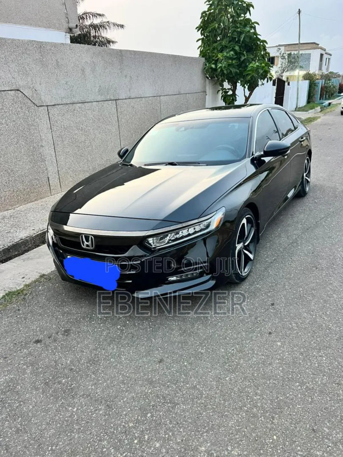 Car Rentals