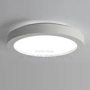 24w Panel Light (White)