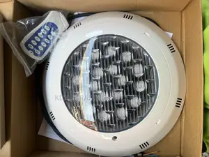 Swimming Pool Light