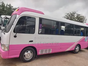 Hyundai County 2015 Pink