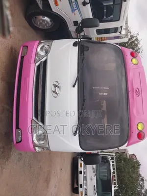 Hyundai County 2015 Pink