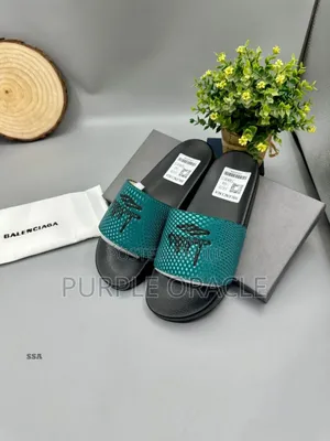 Balenciaga Slides With Packaging