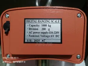 Crane Scale 1000kg