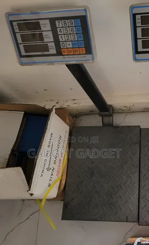 Powerful Platform Scale 500kg Weight Capacity