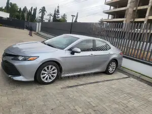 Toyota Camry LE (2.5L 4cyl 8A) 2019 Gray
