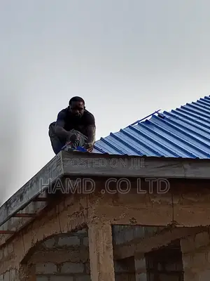 Carpenter in Construction and Furniture