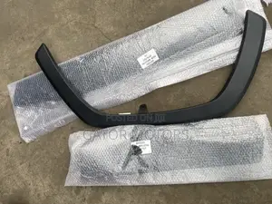 Rav4 2019,2020,2021,2022 Door Moulding