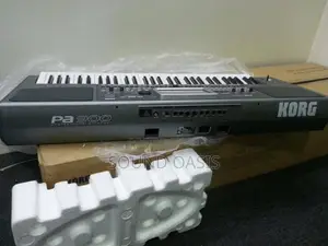 Korg Pa900 61-Key Pro Arranger Keyboard