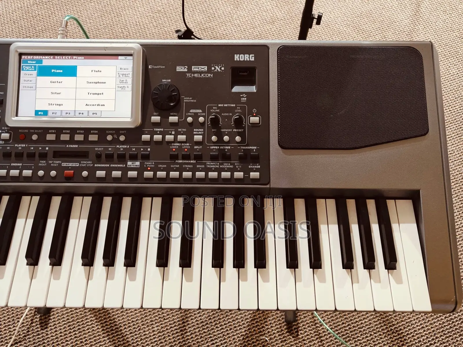 Korg Pa900 61-Key Pro Arranger Keyboard