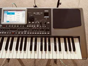 Korg Pa900 61-Key Pro Arranger Keyboard